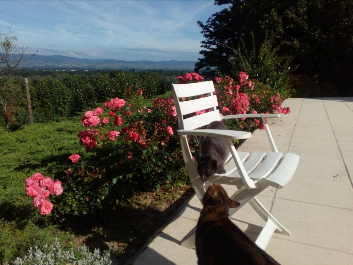 B&B Chez Frederique Et Norbert Mogneneins 외부 사진